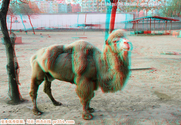 3D۾ʾͼƬ3DͼƬ1