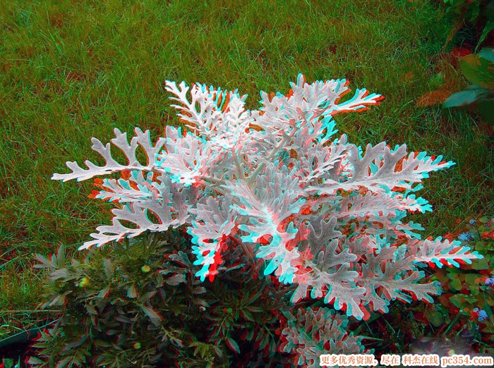 3D۾ʾͼƬ3DͼƬ7