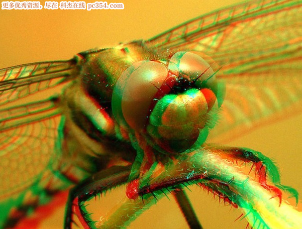 3D۾ʾͼƬ3DͼƬ9