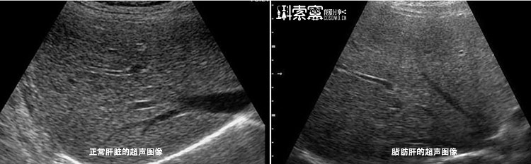 图片点击放大