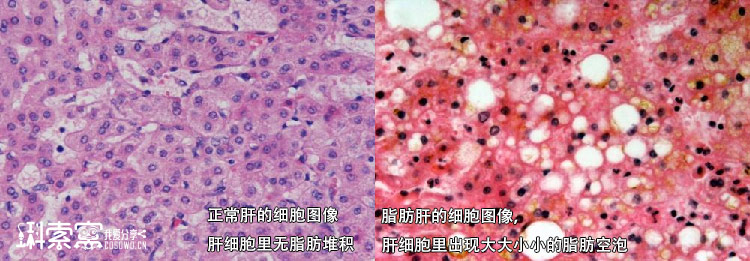 图片点击放大