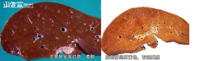 图片点击放大
